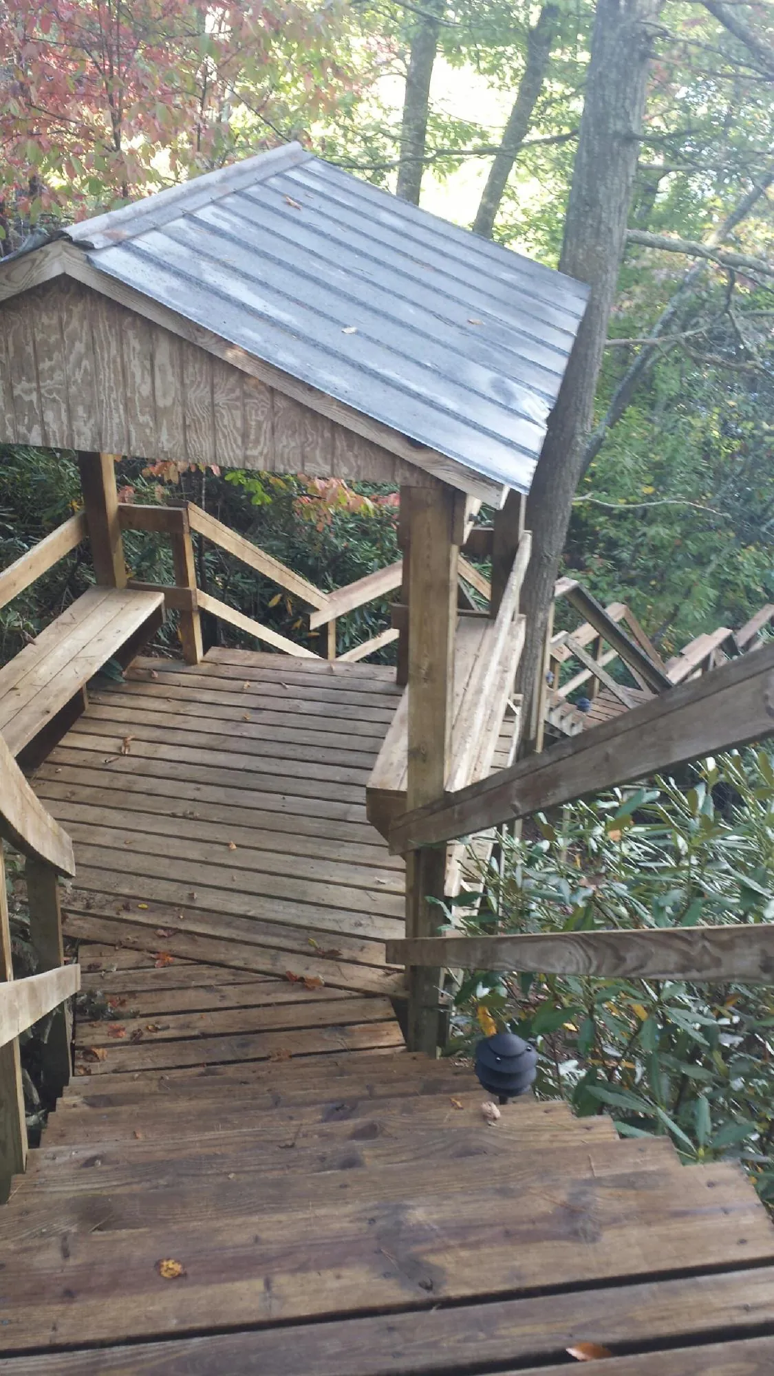 Metal roofed shelter over wooden steps on a wooded walkway — Skylight Repair & Installation work by our crew in Trafalgar